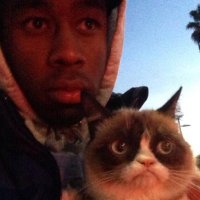 catsanesss (@catsanessss) 's Twitter Profile