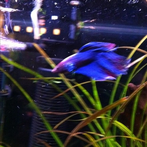 slinkykilleen's profile picture. Community support worker & home share caregiver.  Tired of seeing the people I support having to fight for their basic needs.