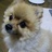 pppqxx's profile image