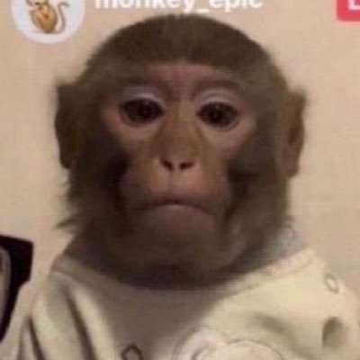 dudebrobruhh's profile picture. .