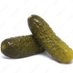 picklepickle2077 Profile picture