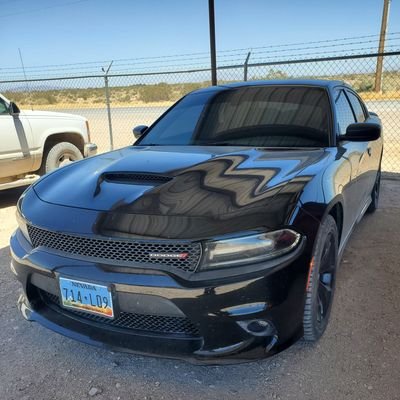 Dieselwarrior23's profile picture. Our founding fathers were not politicians, and wrote the constitution in manner that protected the people, by limiting the government.