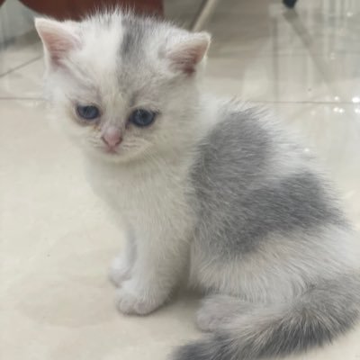 mrloc123's profile picture. 