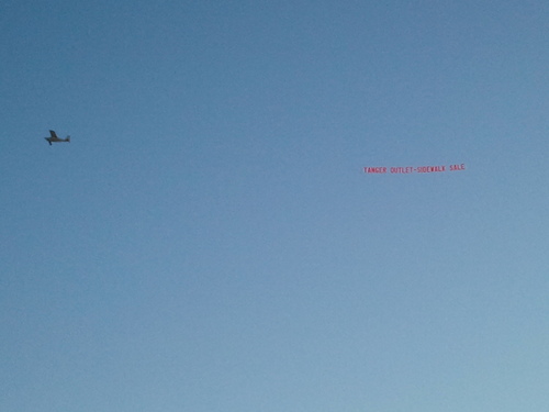 wilgoor's profile picture. 