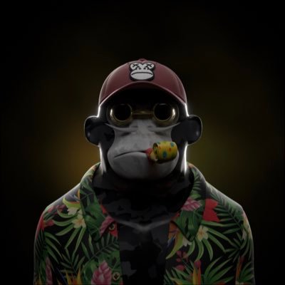 PetruAlbu3's profile picture. @MultiversX $EGLD $EAPES $SUI