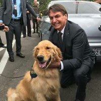 Mr Bolsonaro🇧🇷(@mr_bolsonaro1) 's Twitter Profile Photo