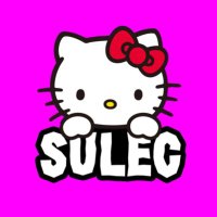 Sulec (@sulec10) 's Twitter Profile