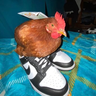 Pohner188's profile picture. just anotha league guy @inferno1lol