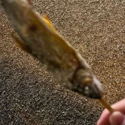 iikamo9999's profile picture. VJ.映像制作勉強中です。