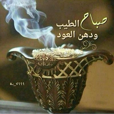 bo_sadf's profile picture. تابعني مردودة 🔄