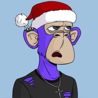 Emmalex 🐢 (@0xemmalex) 's Twitter Profile