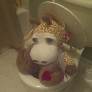 HomeDiva50's profile picture. 