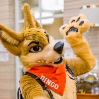 ★ 𝓟𝓻𝓸𝓯𝓮𝓼𝓼𝓸𝓻 DR.DiNGO★(@DiNGOTheDogtor) 's Twitter Profile Photo