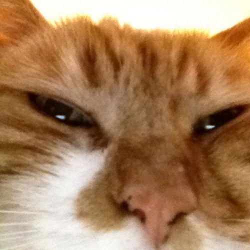 Hetchins52's profile picture. 