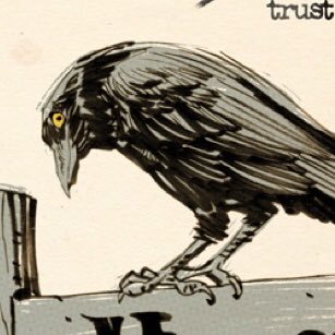Your Daily Ravensさんのプロフィール画像