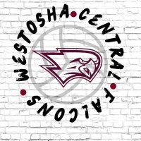 Westosha Central VB(@westoshavball) 's Twitter Profile Photo