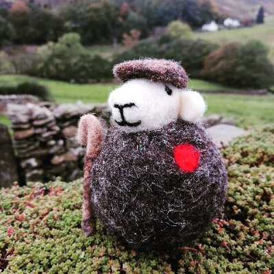 Felting with Herdwick wool from our farm in the Lake District