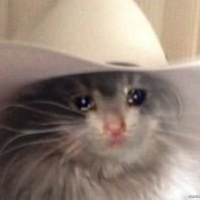 AliceFire4's profile picture. 