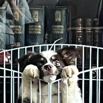 jadelcueto's profile picture. Plastics Evangelist #noeselplastico I choose plastic. Yo no bloqueo chairos, ellos me bloquean a mi