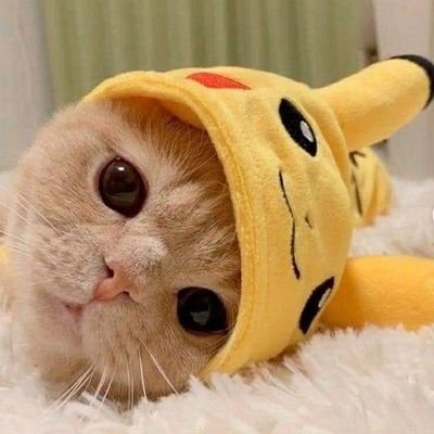 Salee65458554's profile picture. 