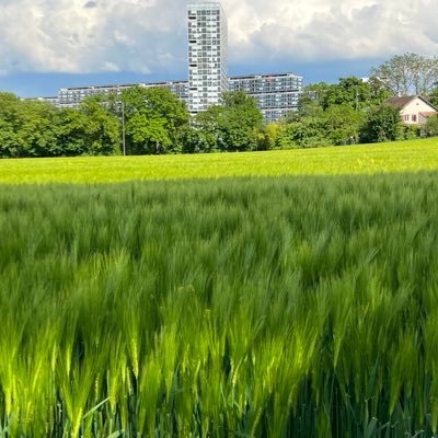 alanchchchch's profile picture. 