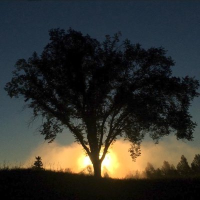 LetsFixitall's profile picture. 