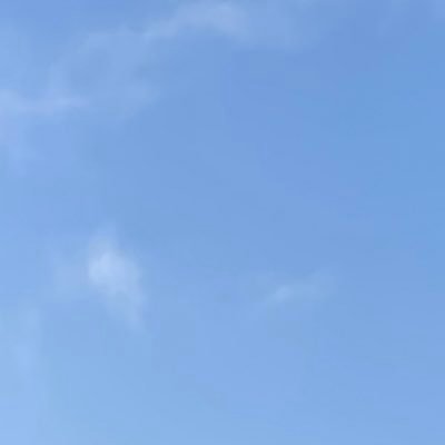 あんずさんのプロフィール画像