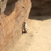 S (@hldhodhldhdgxep) 's Twitter Profile