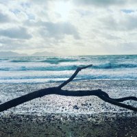 Kate Harrison (@kharrisonpsych) 's Twitter Profile