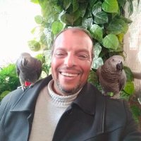 Ayman Hasan (@_i9ia) 's Twitter Profile
