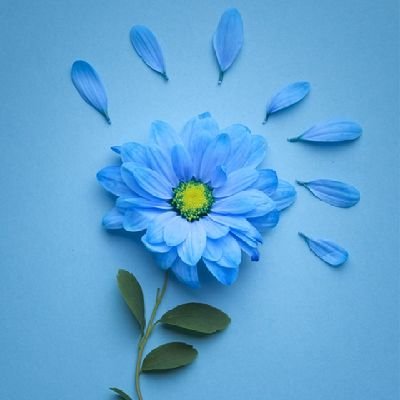 43145789974214y's profile picture. Il n'importe pas du tout de savoir qui je suis les définitions se trompent toujours