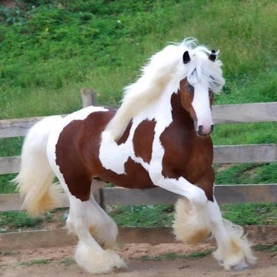 LanaTotels's profile picture. 