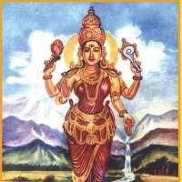Lakshmi (@lakshmi85996898) 's Twitter Profile