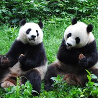 bimseBTW (@bimsebtw) 's Twitter Profile