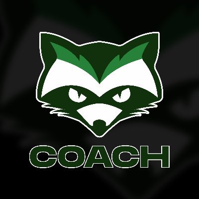 Coach of Reckless Na ~ Reckless NA Alpha, Gamma. Top 500 peak OW player ~ Dm for team coaching and solo coaching! https://t.co/CPNPBb1St0