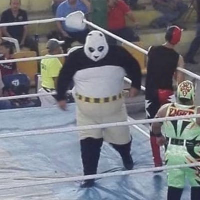 VastVibez's profile picture. 