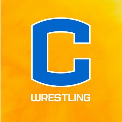 Official Twitter of the Carmel Wrestling Program #BuildingAnArmy of student athletes that excel on & off the mat | #GoHounds