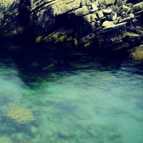 confessedrandom's profile picture. 