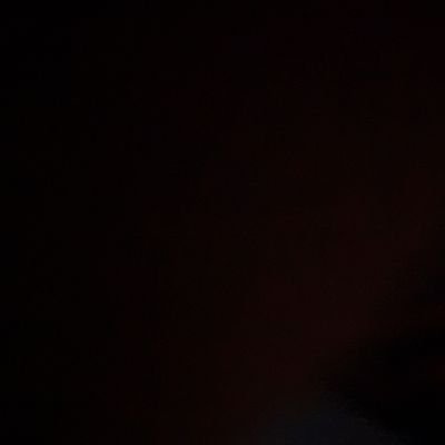 Armando50984661's profile picture. 