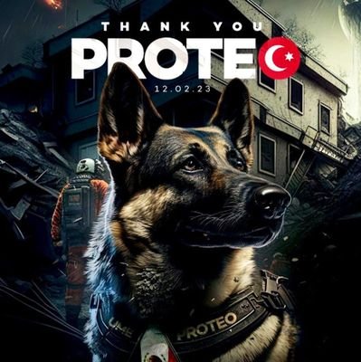 analucossio's profile picture. 