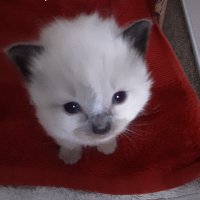 Jayne π¬π§π¬π§ (@jelleng1) 's Twitter Profile
