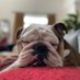 Otis from Alabama (@otisfromalabama) Twitter profile photo Otis from Alabama (@otisfromalabama) Twitter profile photo