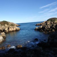 xxxxnx available (@mellamoveli) 's Twitter Profile Photo