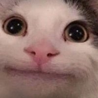 Micaca (@mikaballito_) 's Twitter Profile