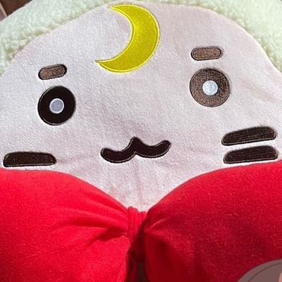 はしこさんのプロフィール画像
