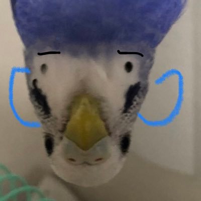 tidori369's profile picture. 日々感じる違和感をつぶやきます🐦