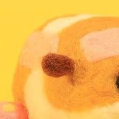 おぽぽサムライさんのプロフィール画像