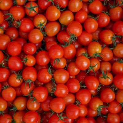 happygrowers's profile picture. to share and learn anything about agriculture