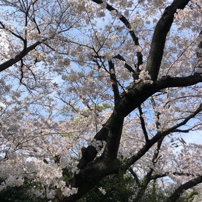 Iona0415's profile picture. 