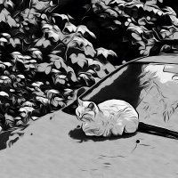 𝕭. (@jkljkljklkljk) 's Twitter Profile Photo